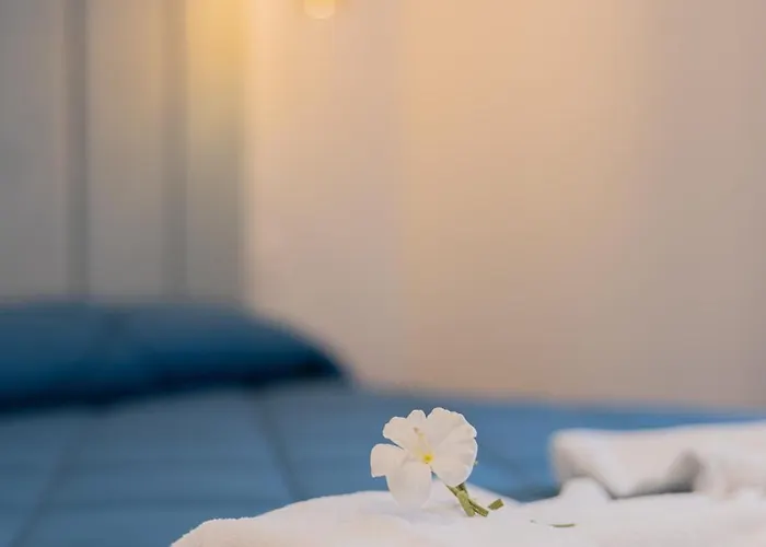 Sulle Stelle Konukevi 3*