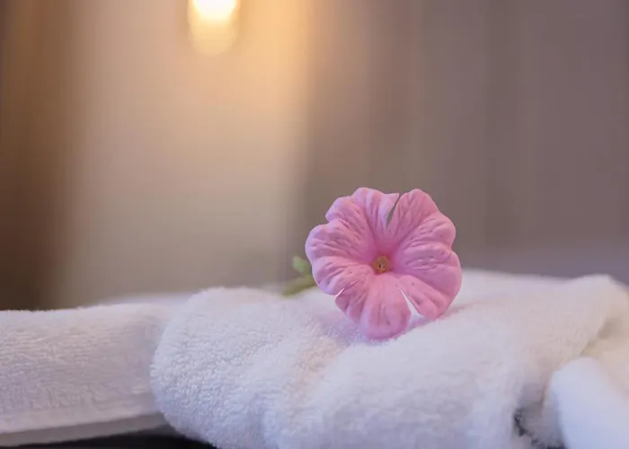 Maison d'hôtes Sulle Stelle